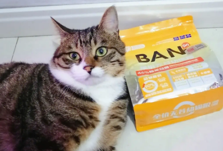 雪瓣猫粮生产厂家 雪瓣猫粮生产厂家