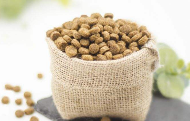 国产猫粮佼佼者壹萌,猫粮品牌新选择 国产猫粮佼佼者壹萌,猫粮品牌新选择
