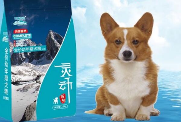 灵动狗粮属于什么档次的品牌
