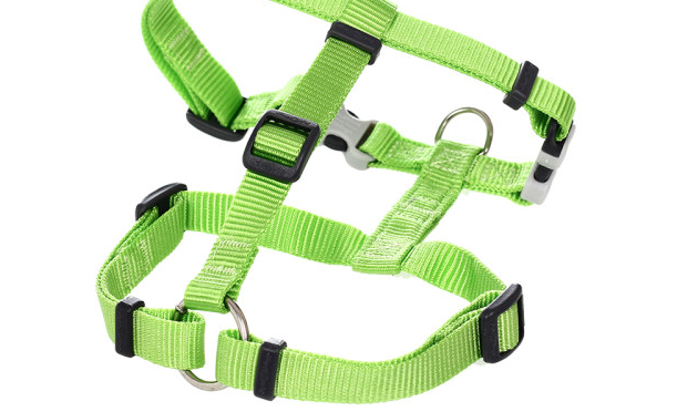 该文章带你了解,瑞鼎狗胸背带到底如何! 该文章带你了解,瑞鼎狗胸背带到底如何!