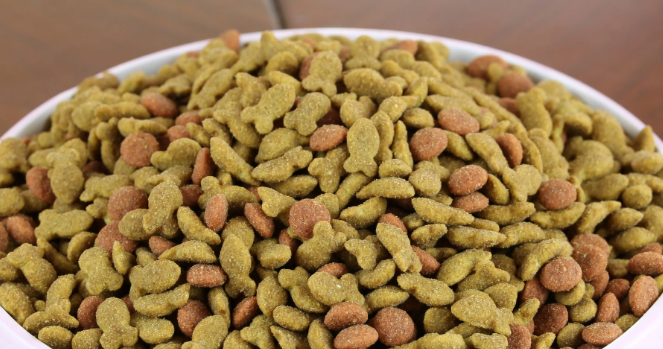 修正猫粮品牌简介！