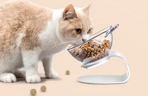 至真元食猫粮有几个系列 至真元食猫粮有几个系列