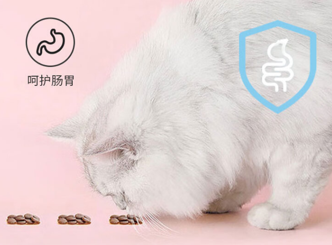 修正猫粮如何 修正猫粮如何