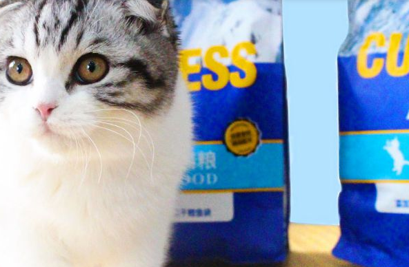 壹萌猫粮在哪买是正品