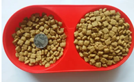 如何让小狗爱吃猫粮和狗粮