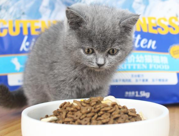 壹萌猫粮靠谱吗怎么样 壹萌猫粮靠谱吗怎么样