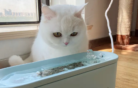 一文告诉你,猫卜力猫咪陶瓷饮水机好不好? 一文告诉你,猫卜力猫咪陶瓷饮水机好不好?