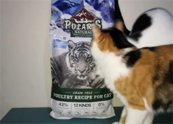 极耀猫粮是什么档次 极耀猫粮是什么档次