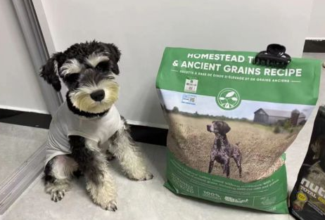 云檀与Open Farm联手 为宠物主人提供全新健康食谱选择 云檀与Open Farm联手 为宠物主人提供全新健康食谱选择