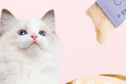 汪崽福猫条怎么样