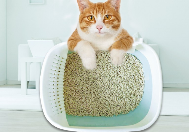 鄂芯鲜猫砂效果如何 鄂芯鲜猫砂效果如何