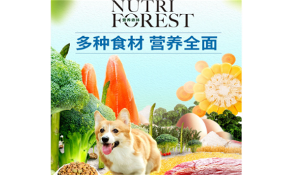 营养森林狗粮深度测评！6年养狗人超详细✅选粮经验
