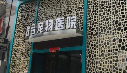 联合宠物医院好不好？宠主来看看吧