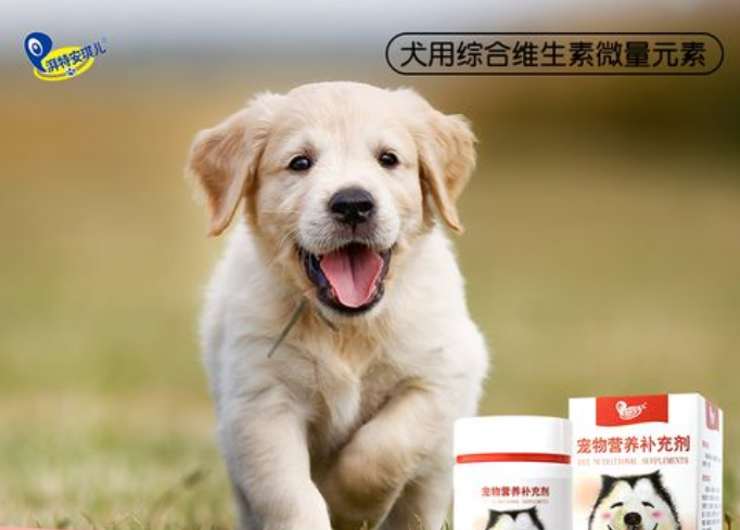 湃特安琪儿是哪个公司旗下的 湃特安琪儿是哪个公司旗下的