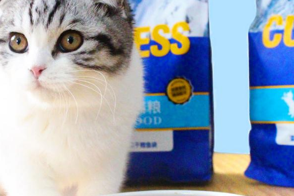 壹萌品牌十年磨一剑，成为国产猫粮后起之秀