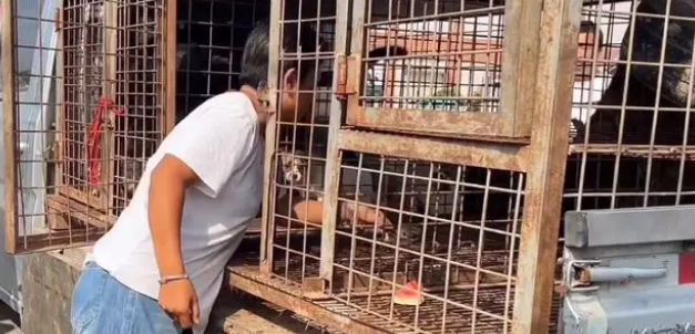 买家出尔反尔，大姐母女大闹狗市，大姐：亏50也不能卖给杀户
