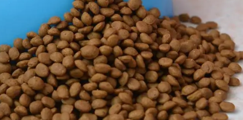 班顿狗粮好不好啊?怎么喂食才对呢? 班顿狗粮好不好啊?怎么喂食才对呢?