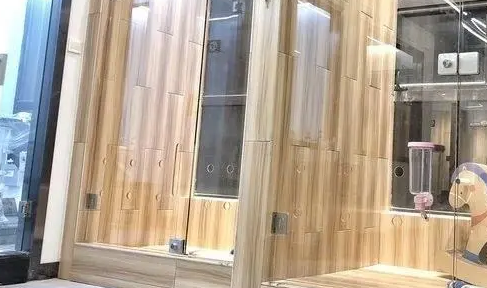 探宠宠物店怎么加盟?想了解的看过来 探宠宠物店怎么加盟?想了解的看过来