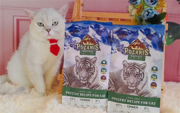 极耀猫粮怎么样