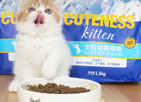 国产猫粮佼佼者壹萌,猫粮品牌新选择 国产猫粮佼佼者壹萌,猫粮品牌新选择