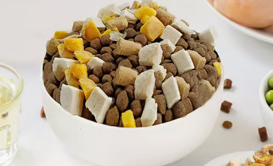 珍鱼堡狗粮好吗？一种优质的宠物食品选择