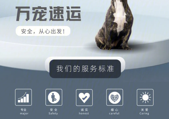 万宠速运靠谱吗