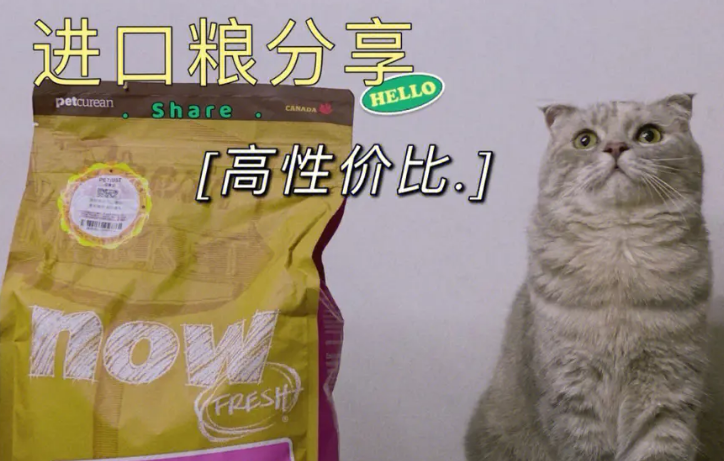 千宠世家宠物零食好吗 千宠世家宠物零食好吗