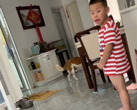 网友惩罚犯错儿子，狗狗在旁边被吓得也不敢动