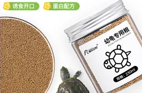 福乐贝特龟粮怎么样