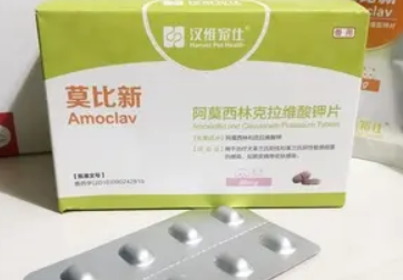 莫比新怎么给猫吃 莫比新怎么给猫吃