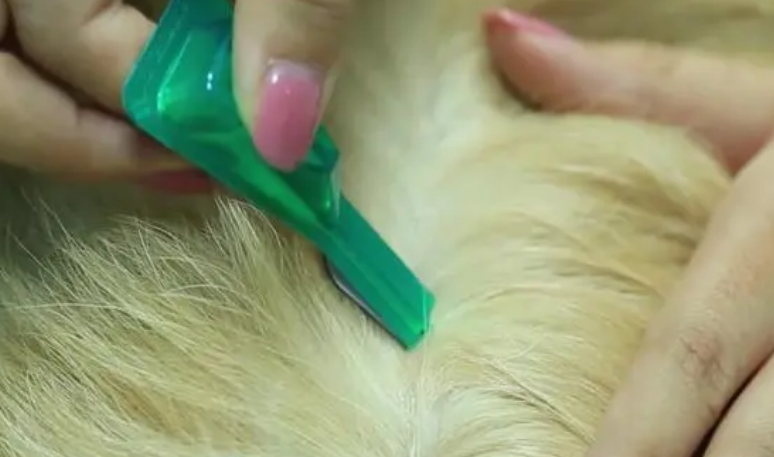 小可宠药驱虫怎么样 小可宠药驱虫怎么样