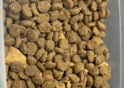 维肯贝拉猫粮怎么样?不妨来看看吧 维肯贝拉猫粮怎么样?不妨来看看吧