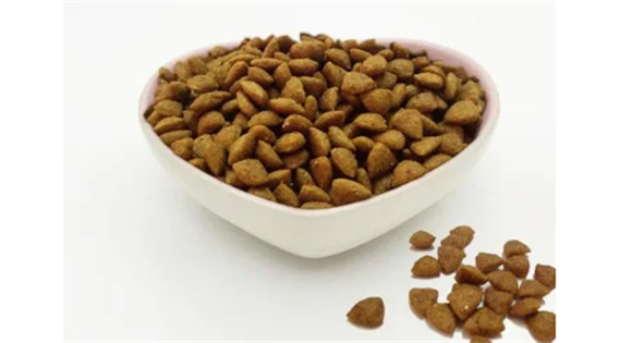 溢享狗粮质量怎么样？给它最棒的健康食谱
