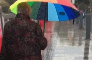 为了照顾狗狗不被雨淋，奶奶的举动好有爱，狗狗太幸福了