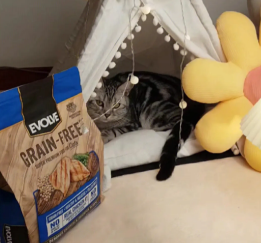 美国亿沃猫粮好吗 美国亿沃猫粮好吗