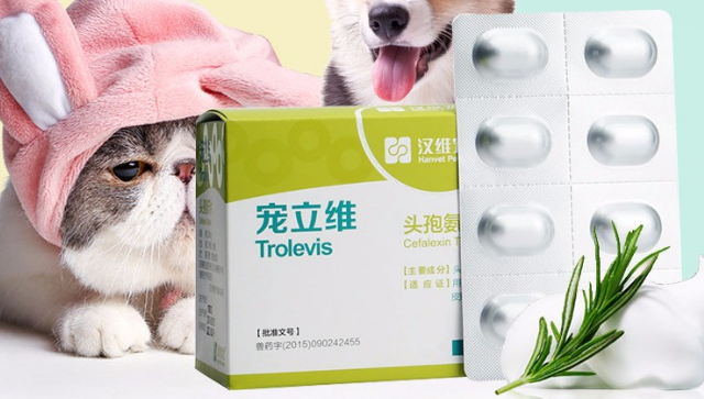 宠立维在哪买 宠立维在哪买