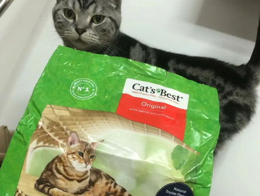 一文详解:猫倍思猫砂怎么样? 一文详解:猫倍思猫砂怎么样?