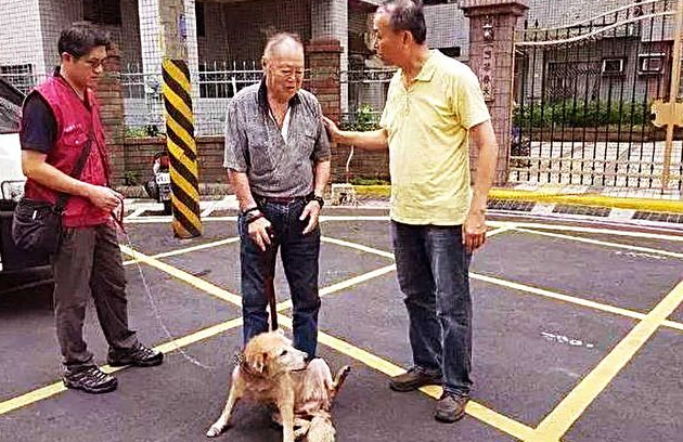 老人被迫将狗送人,狗狗举动让老人当场老泪纵横 老人被迫将狗送人,狗狗举动让老人当场老泪纵横