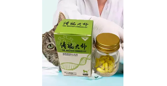 传福大师效果怎么样 传福大师效果怎么样
