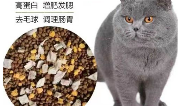 佐尔顿冻干好不好