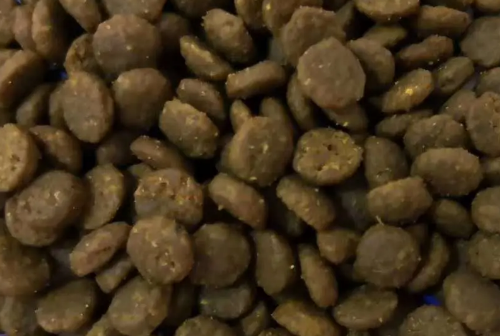 骏域狗粮哪里生产的 骏域狗粮哪里生产的