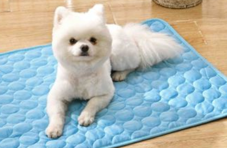 休普宠物品牌介绍 休普宠物品牌介绍