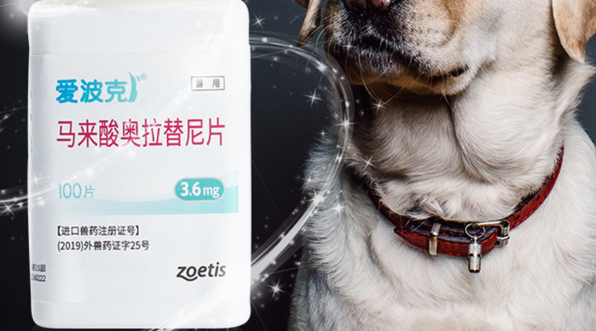 宠物爱波克止痒药能长期吃吗