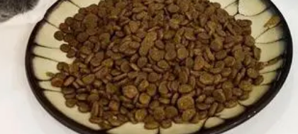 亚美嘉猫粮怎么样？一文告诉你