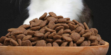 香吉仕猫粮是毒猫粮吗? 香吉仕猫粮是毒猫粮吗?