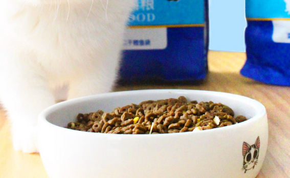 国产猫粮佼佼者壹萌,猫粮品牌新选择 国产猫粮佼佼者壹萌,猫粮品牌新选择