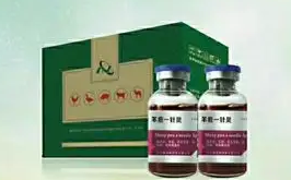 一针灵是什么药?来看看吧 一针灵是什么药?来看看吧