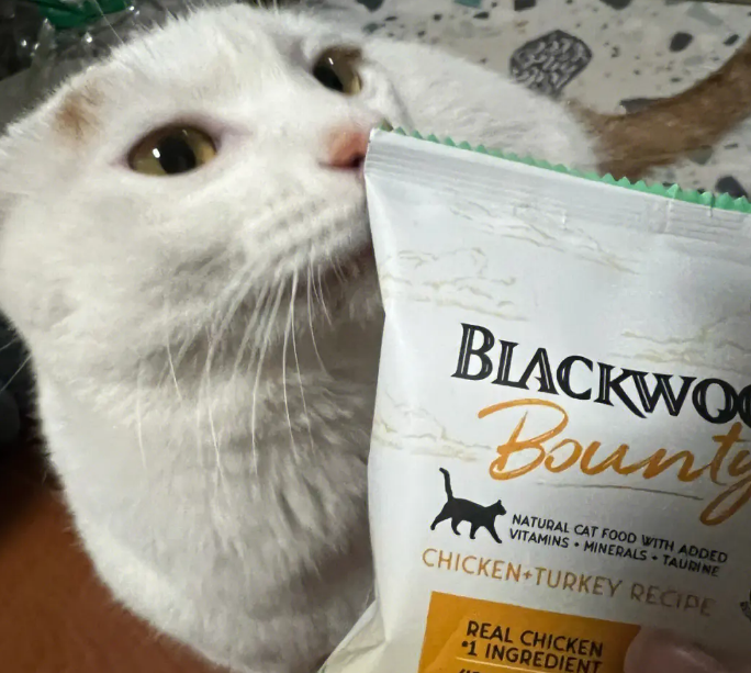 blackwood珀萃怎么样