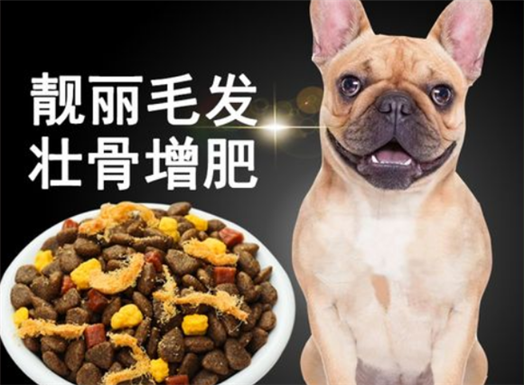 法斗狗粮如何配置呢