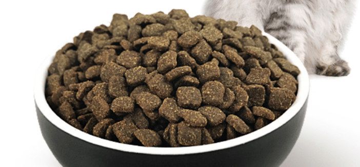 摩邦猫粮是不是天然粮，喂食要注意什么？
